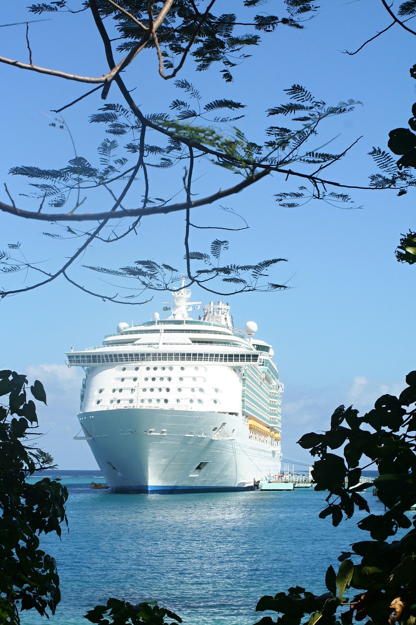 cruise, ship, sea-141709.jpg
